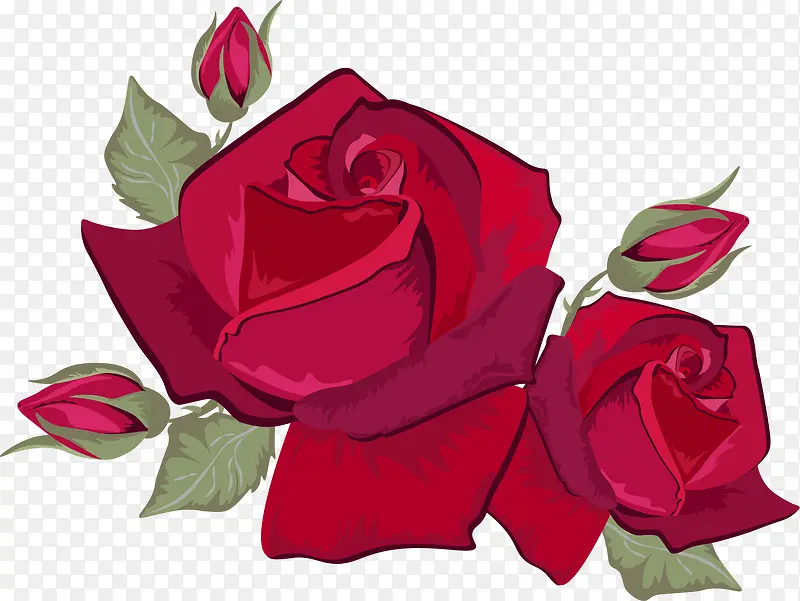 酒红色玫瑰花