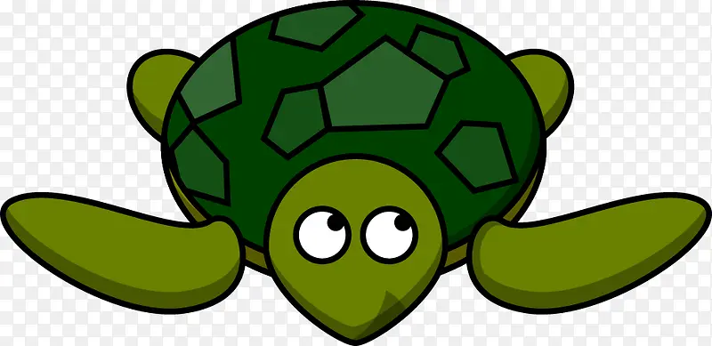 绿色乌龟矢量图