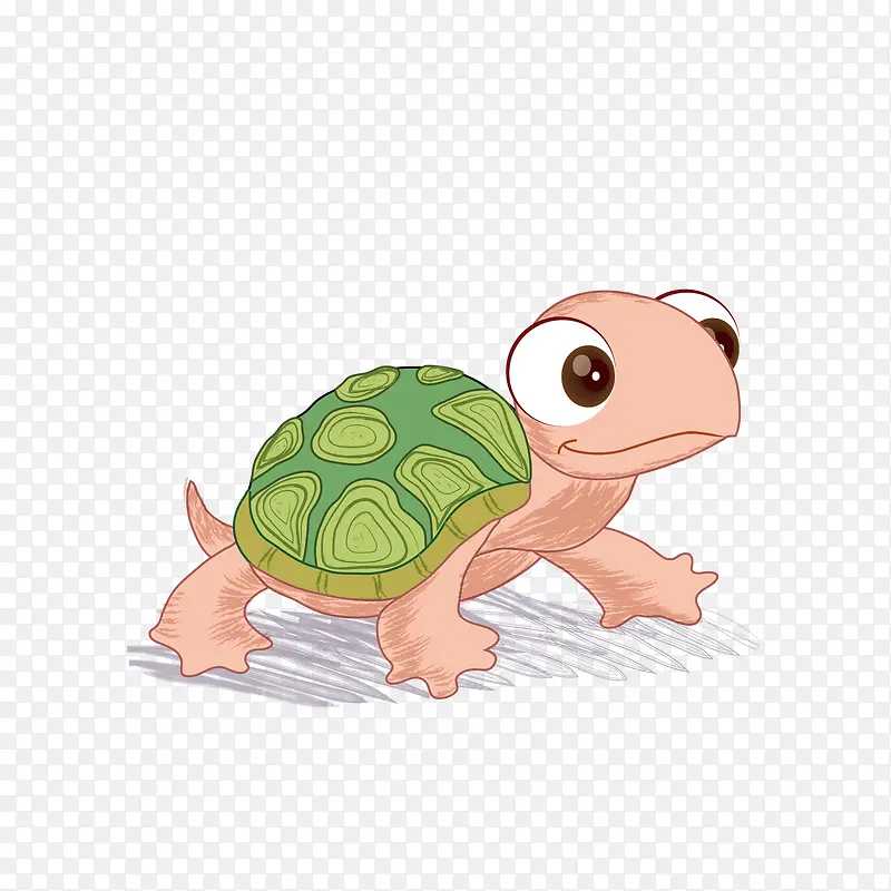 矢量卡通乌龟PNG图片素材下载_图片编号qxjrdjpb-免抠素材网