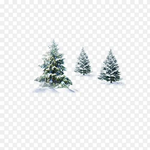三棵冬天里的树