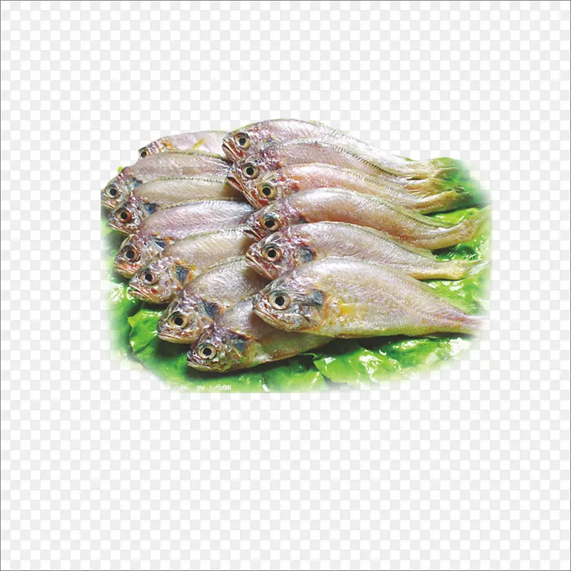 生鲜小黄鱼
