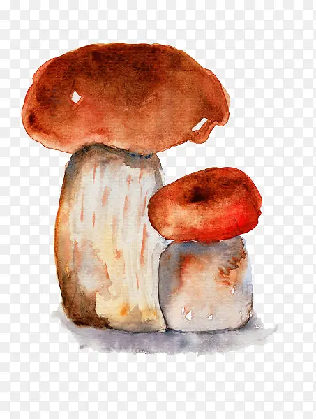 手绘黄色蘑菇