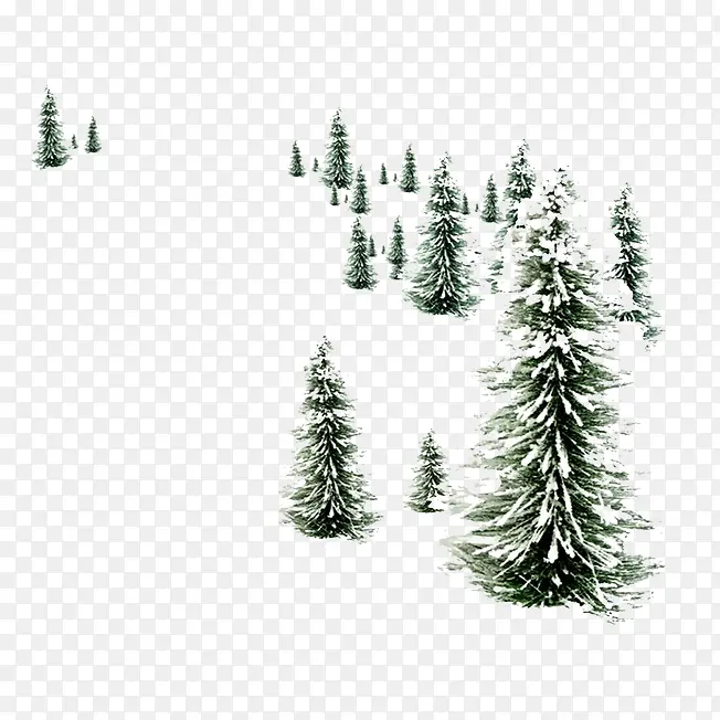 树林落满雪花