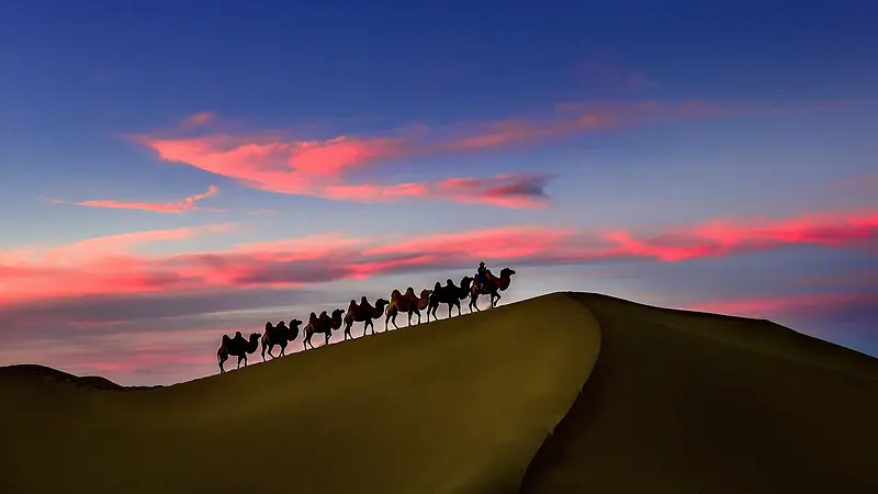 蓝天云彩沙漠骆驼