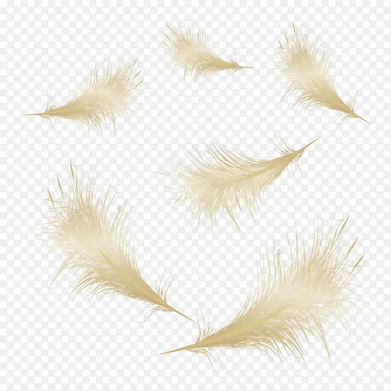 鸟类金色的羽毛矢量素材