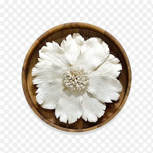 白色花瓣素材