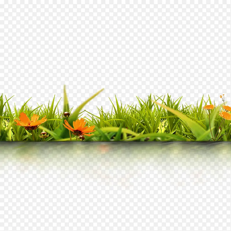 绿色清新草地花朵装饰图案
