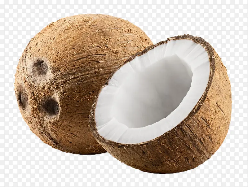 正宗的椰子