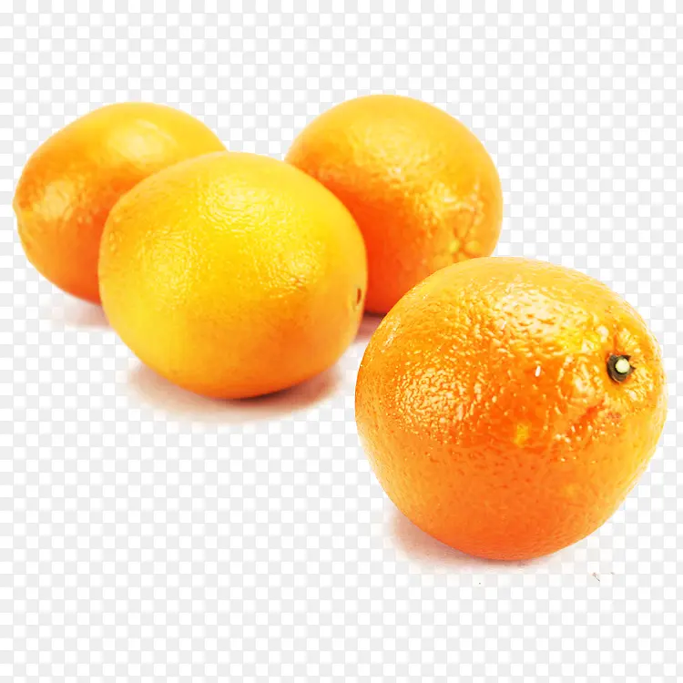 黄柳橙图片素材