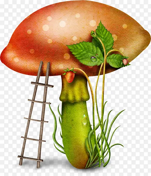 卡通蘑菇 绿叶 露珠 梯子 png免扣素