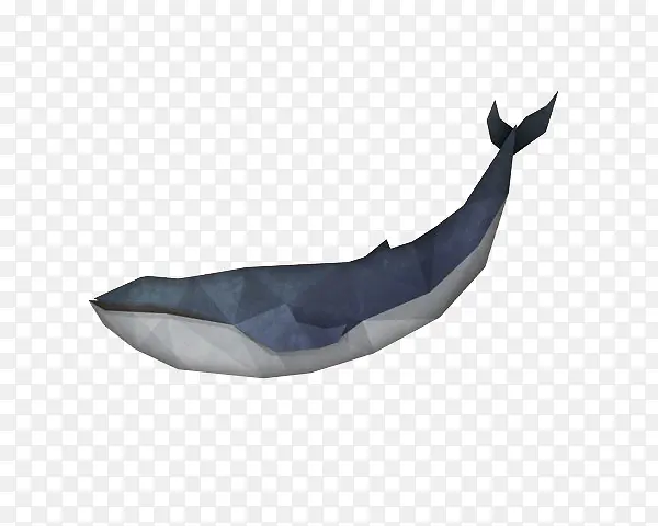 晶格化鲸鱼
