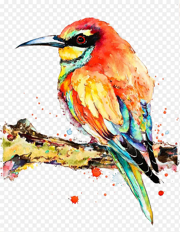 彩色手绘鸟海报展板图案