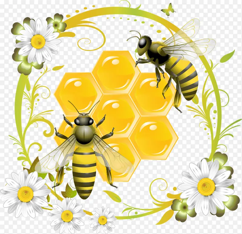 蜜蜂采蜜免抠PNG图片