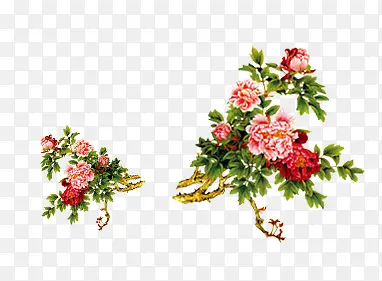 手绘牡丹花