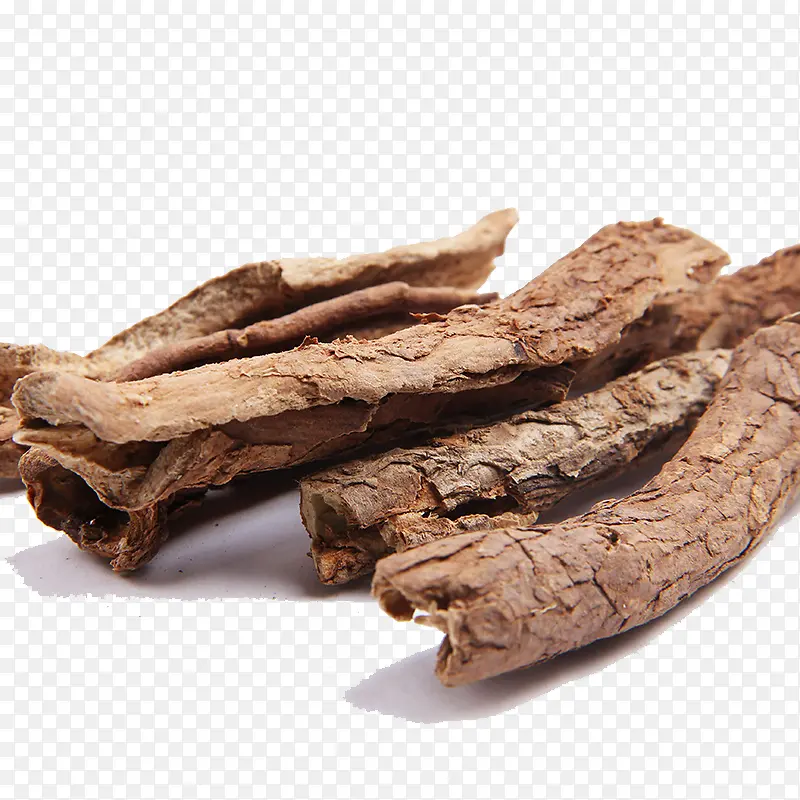 五加皮药材