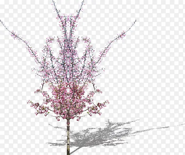 粉色花朵树林植物装饰