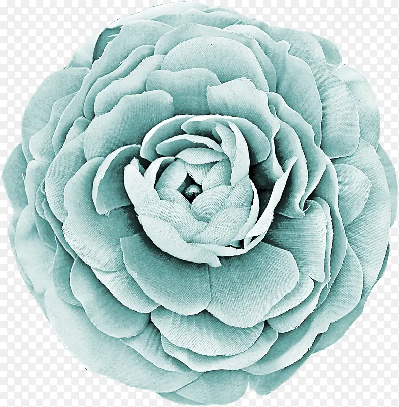 蓝色的千层叶花朵
