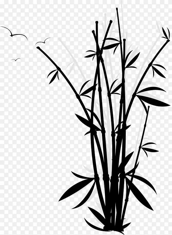 黑色的竹子