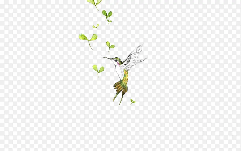 绿叶啄木鸟图片