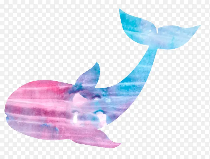 彩色海豚