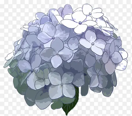 手绘蓝灰色花朵装饰