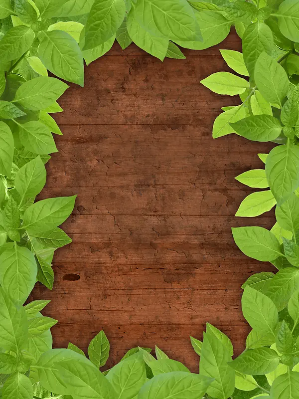 木板与叶子背景