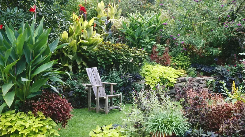 花园植物绿色椅子