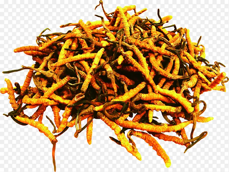 手绘黄色虫草装饰