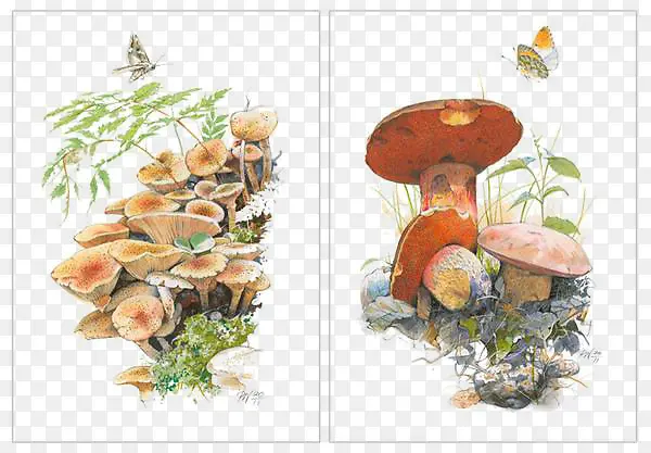 卡通手绘蘑菇素材图片