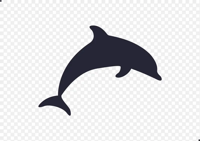 海豚座－填充