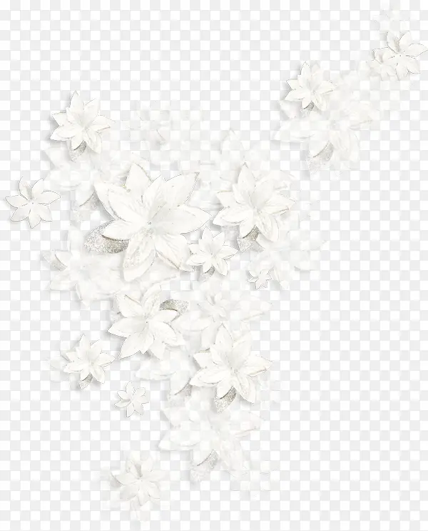 白色洁净花朵装饰