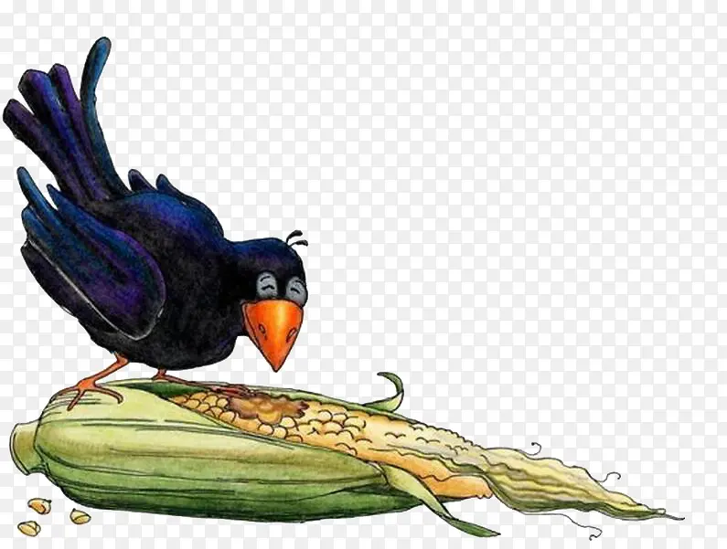 乌鸦吃玉米