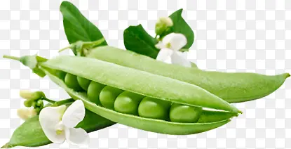 绿色新鲜豌豆豆角蔬菜