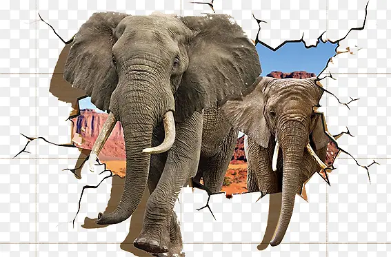 破墙立体图大象