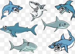 卡通手绘海底世界各种种类的鲨鱼