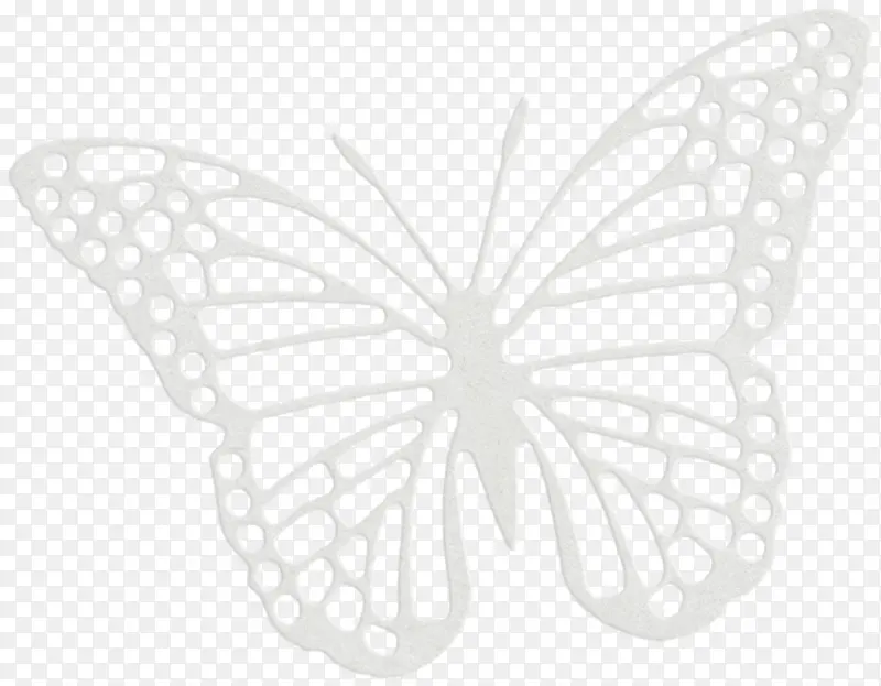 昆虫彩色蝴蝶  卡通手绘蝴蝶