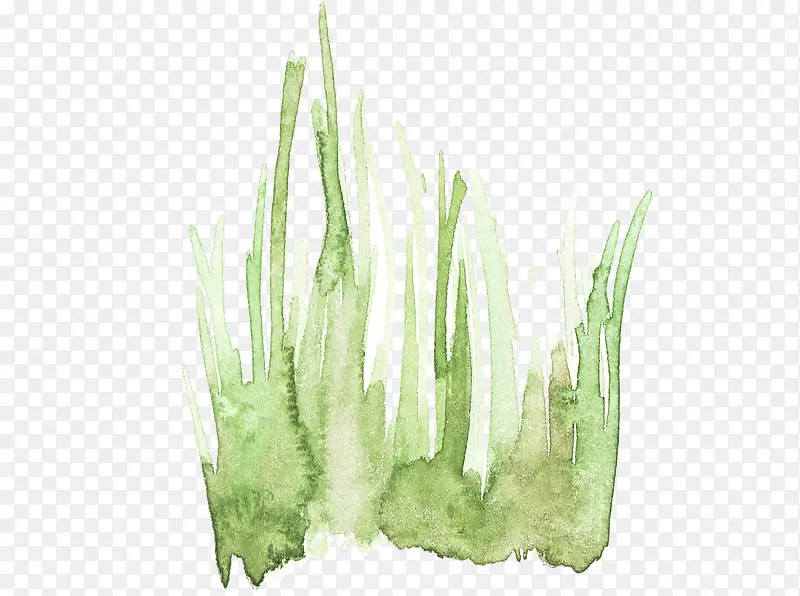 浅绿色手绘植物图案