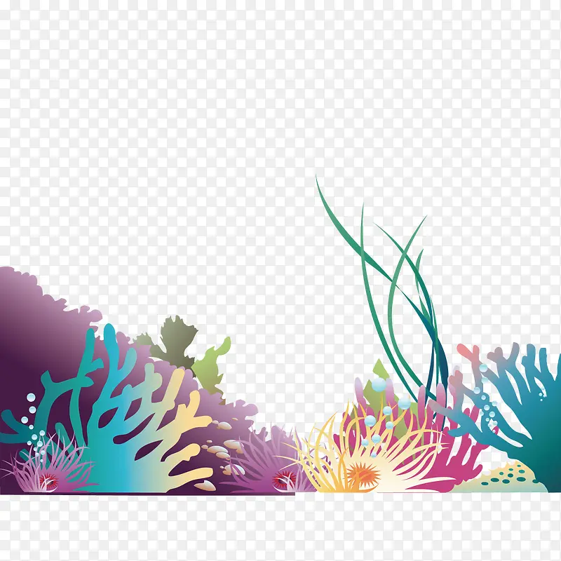 海底的珊瑚植物
