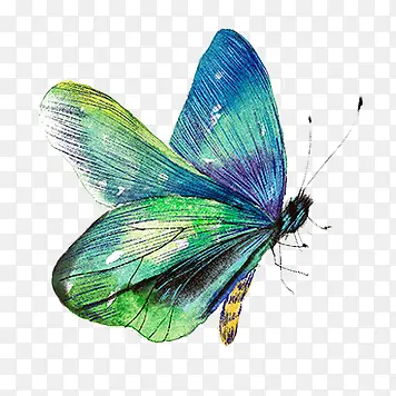 手绘美丽的蓝色蝴蝶