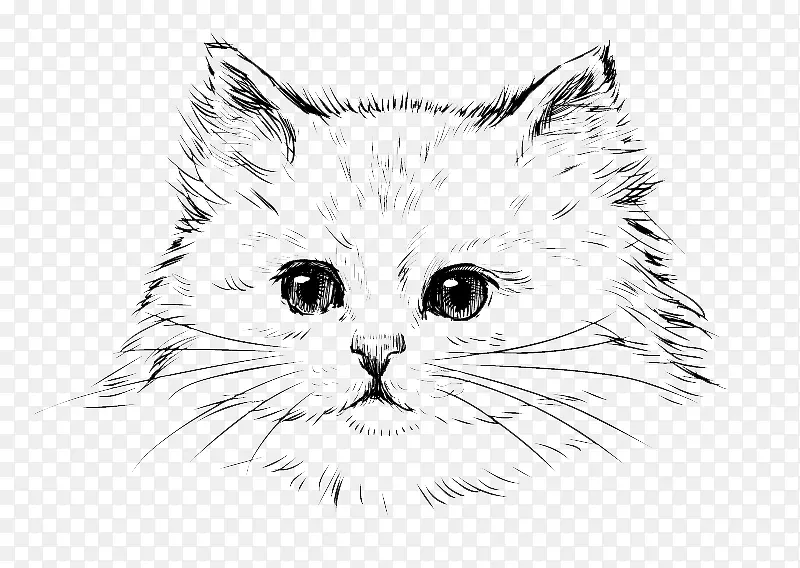 猫咪素描免抠素材