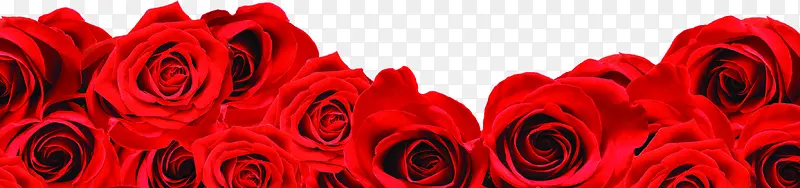 红色玫瑰七夕卡片