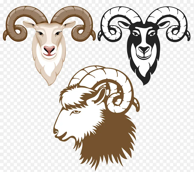 三个不同的羊头