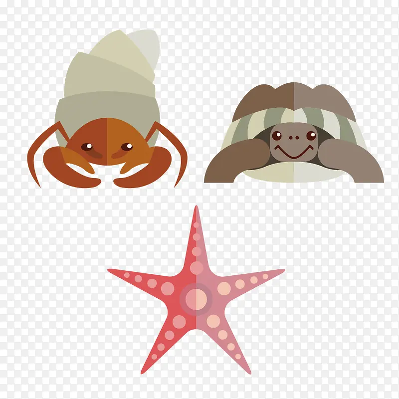 沙滩生物