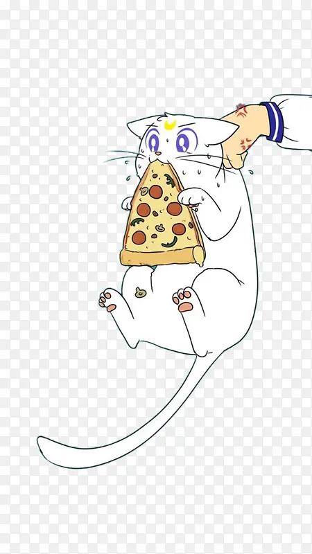 吃披萨的猫