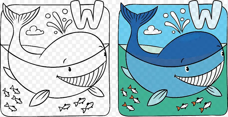 鲨鱼漫画与字母W