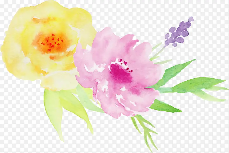 手绘水彩玫瑰花装饰元素