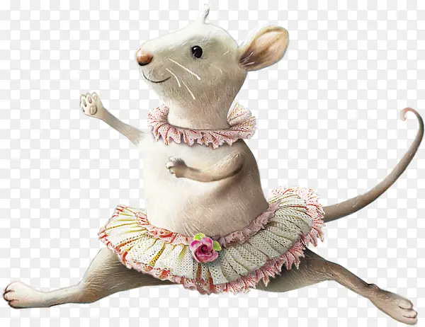 跳舞的老鼠
