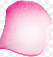 粉色花瓣淘宝首页