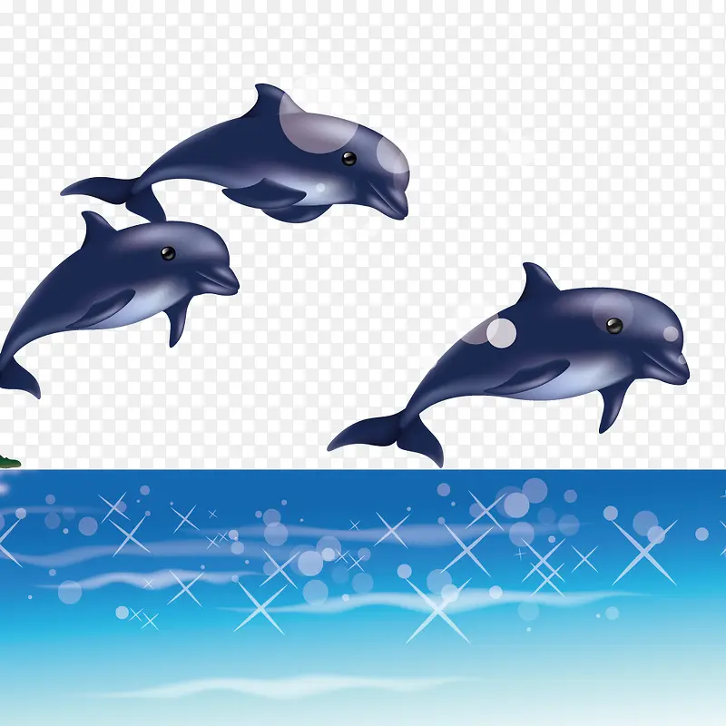 海豚在跳出海面