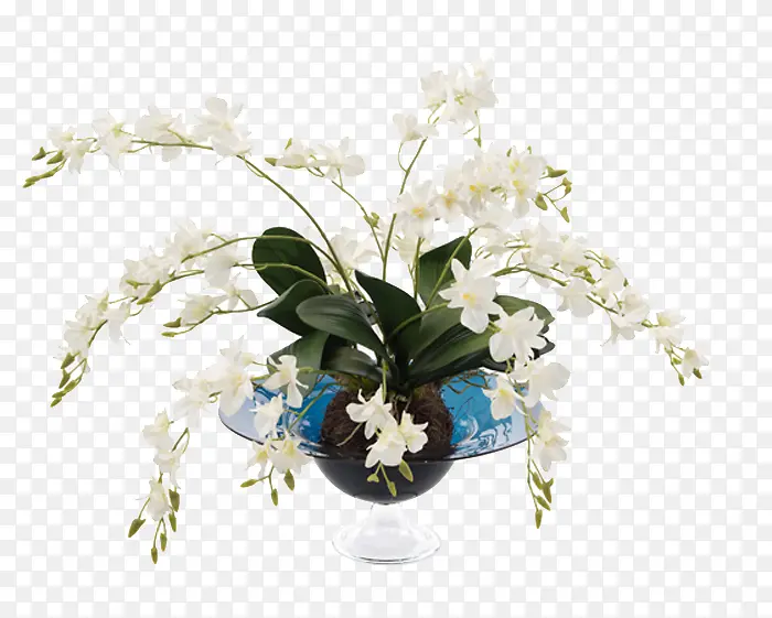艺术造型 插花花艺